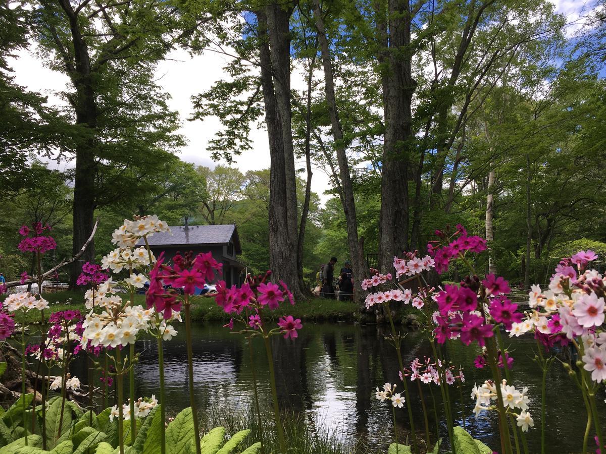 Little Forest Inn นิกโก ภายนอก รูปภาพ